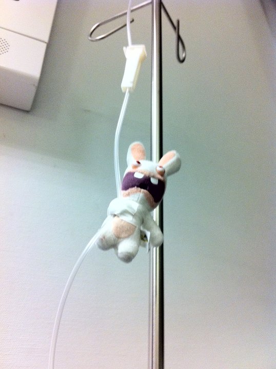 a stuffed bunny hanging from the ceiling on the wall