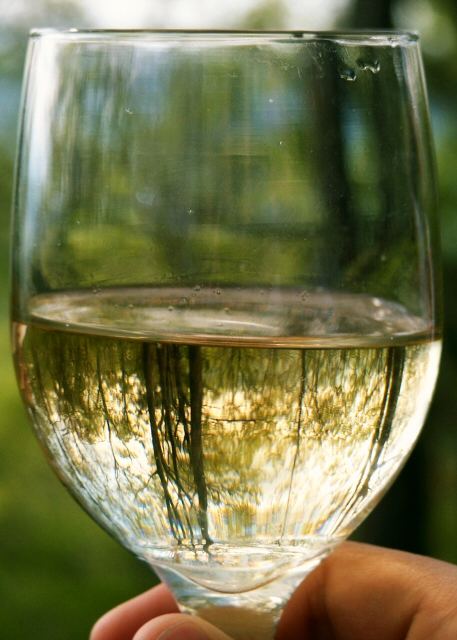 person holding up a large glass of white wine