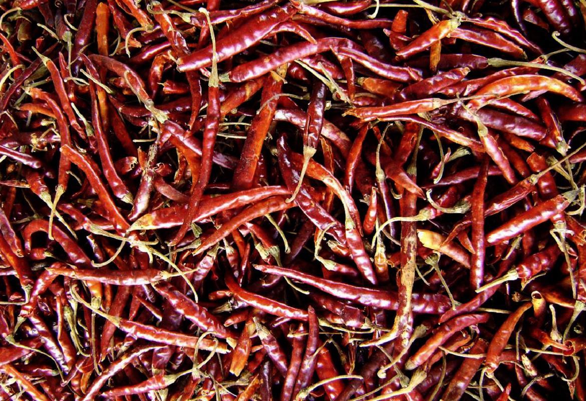 red chilis are shown on the floor with other red beans
