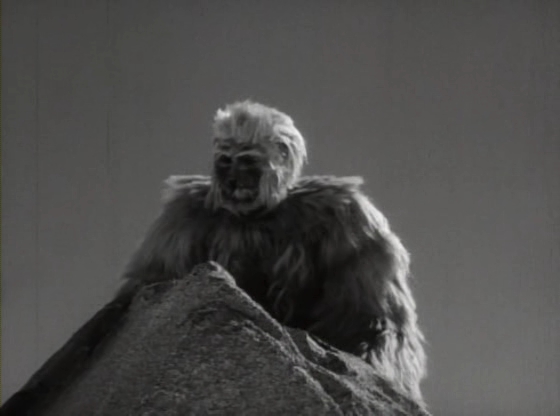 a gorilla on the rock in an old black and white po