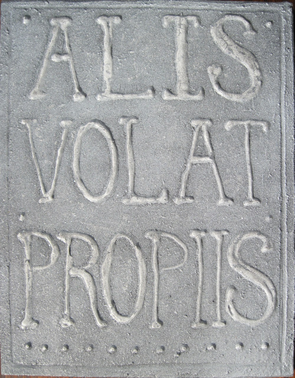a welcome mat that says all is volati propis