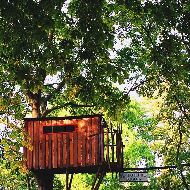 there is a tree house built to the tree top
