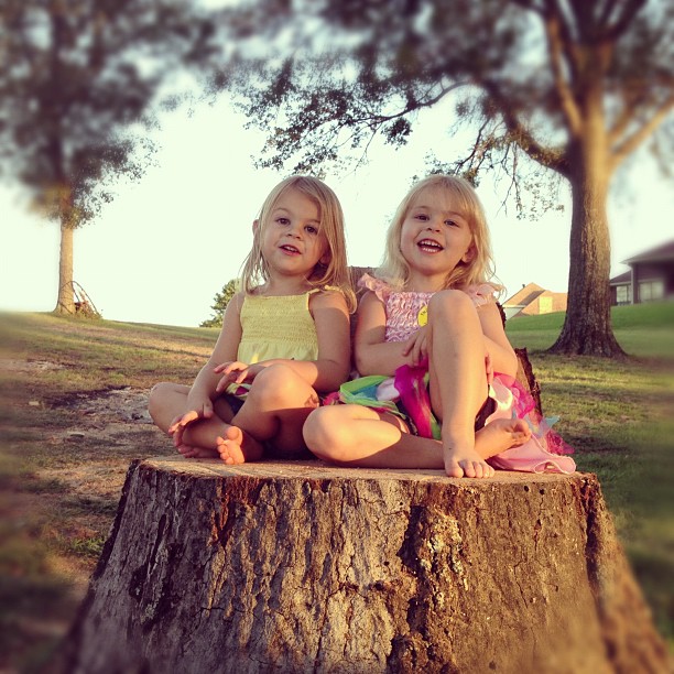two little girls sitting next to each other on a tree stump