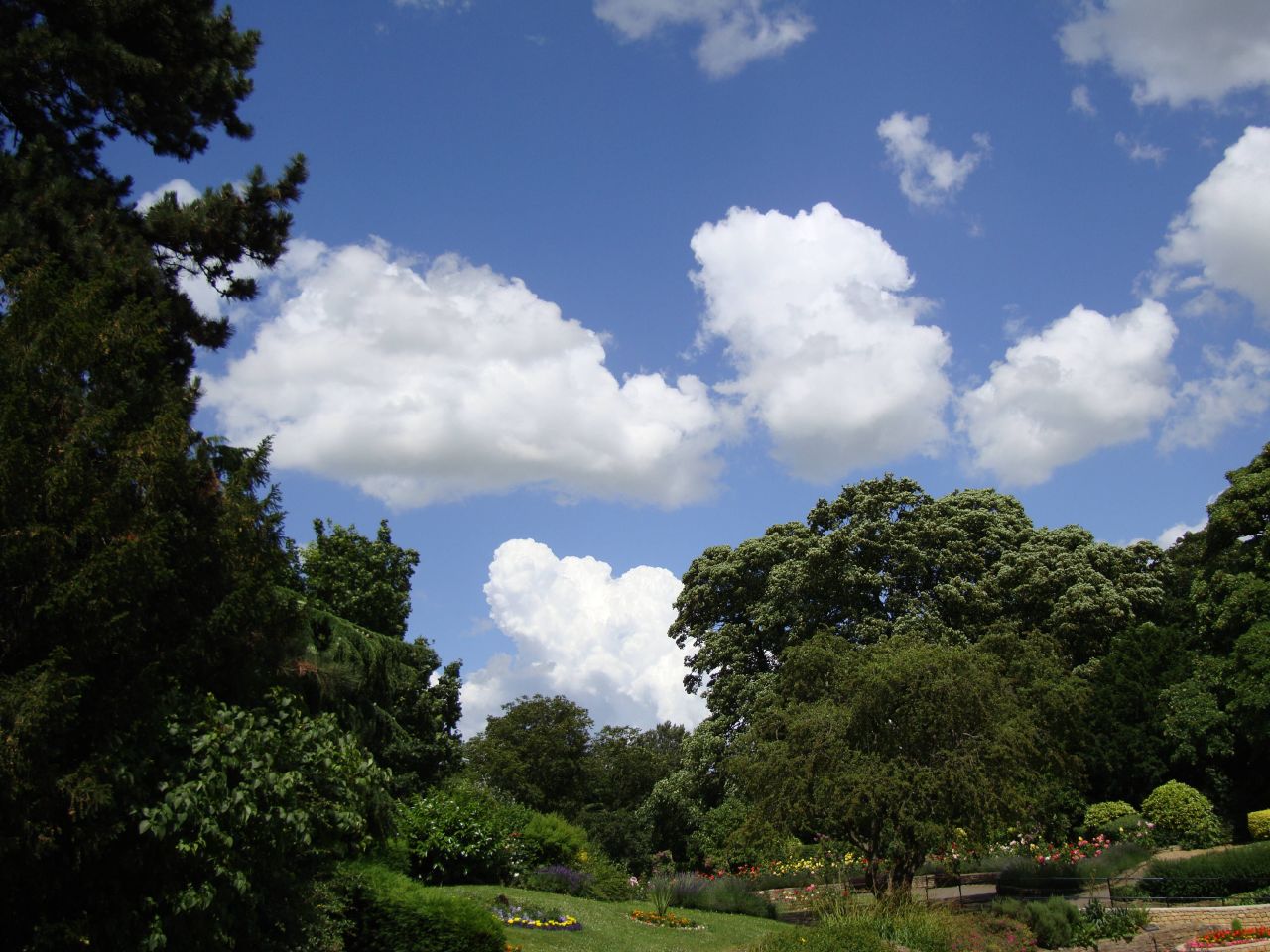 the grass and trees are blooming and green in the park