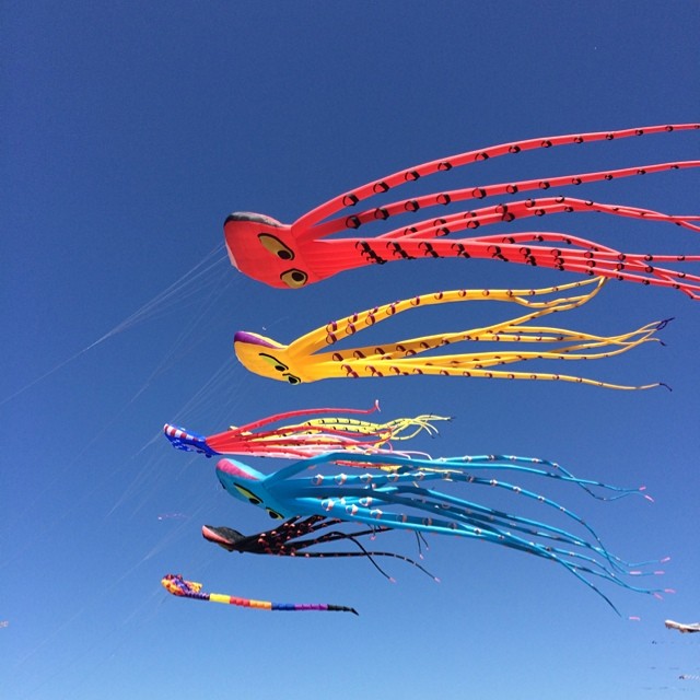 kites shaped like squides flying in the sky