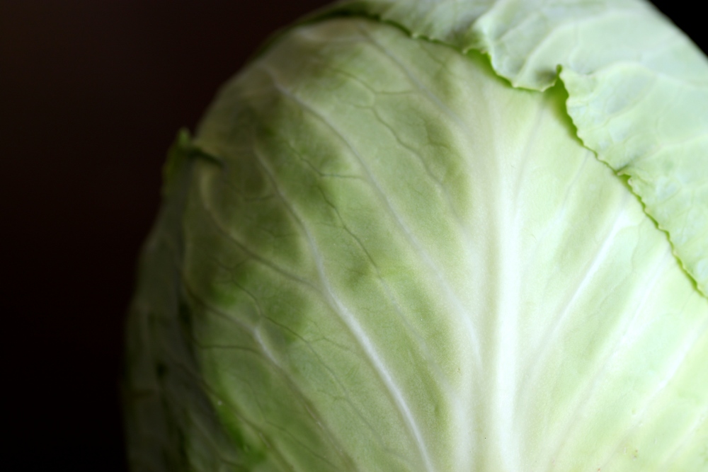 a cabbage is seen in closeup on a table