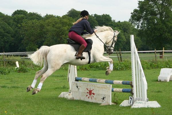 a girl in a competition jumps a white horse over an obstacle