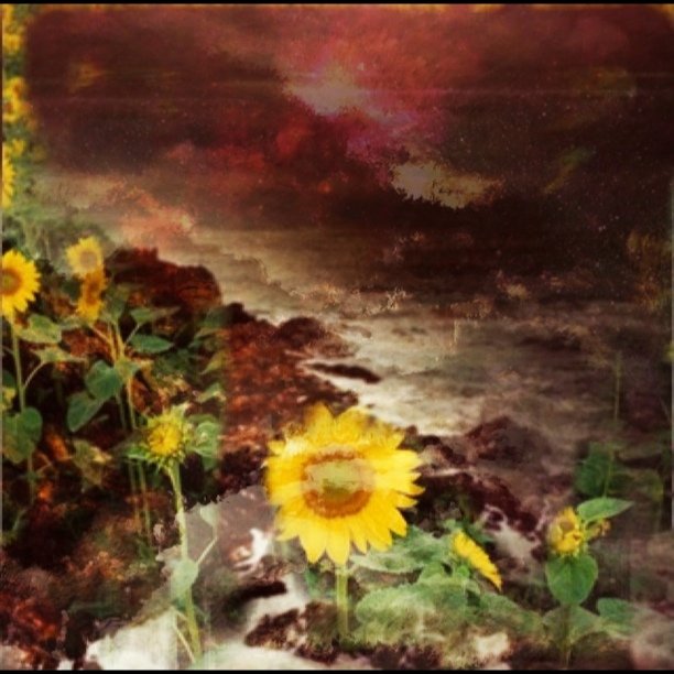 a po with sunflowers sitting along the ocean