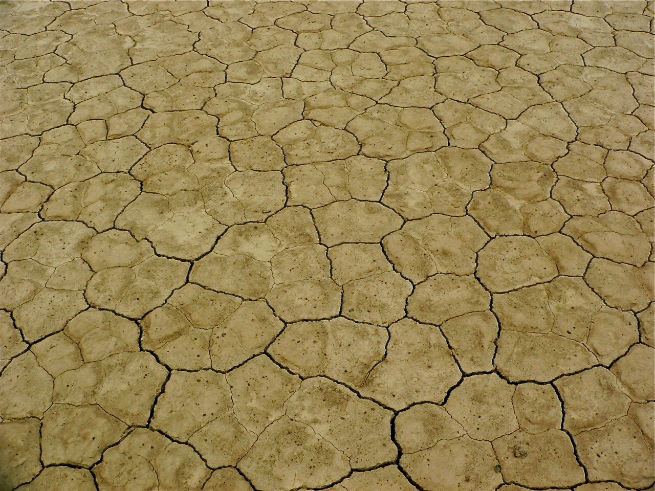 dirt that looks like dirt with grass growing