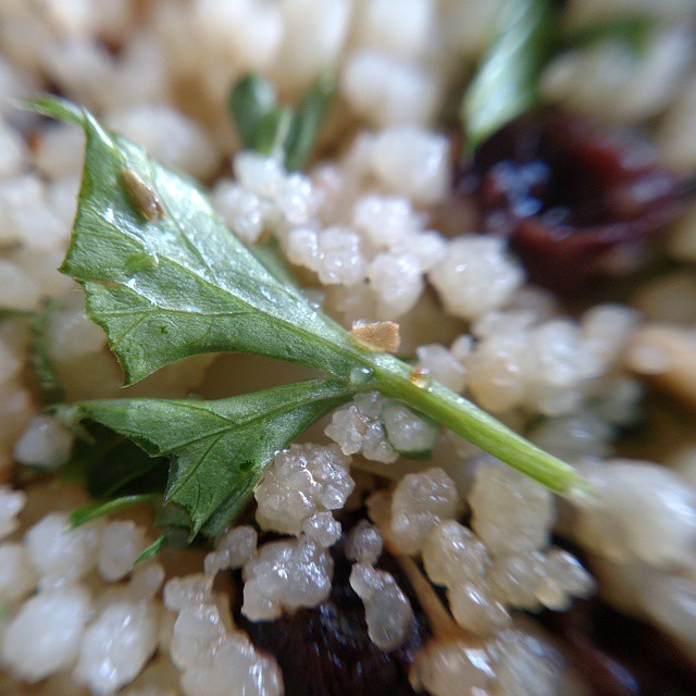 a close up po of an edible meal