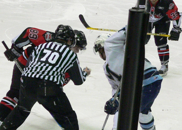 a referee is walking away from hockey players