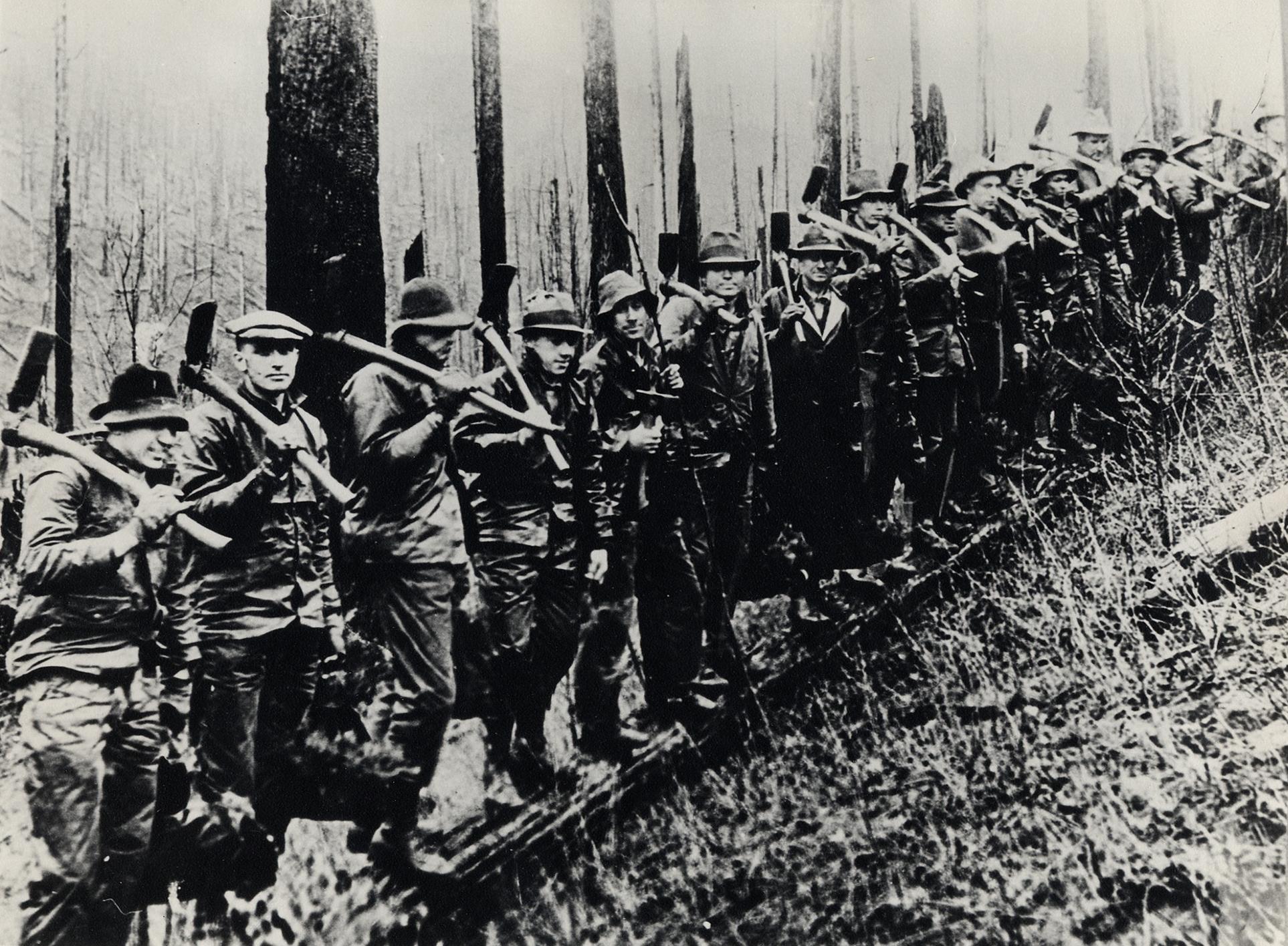 the german army advance in the war