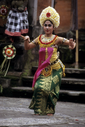 a woman wearing an elaborate dress and head piece