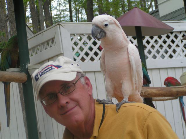 an older man is holding a bird on his shoulder