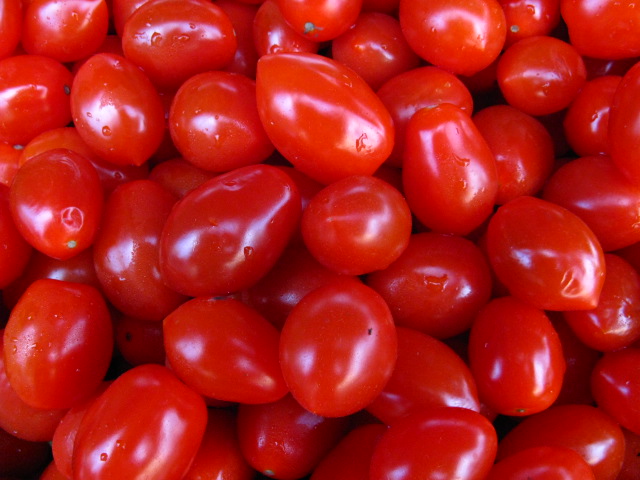 a large amount of ripe red tomatoes
