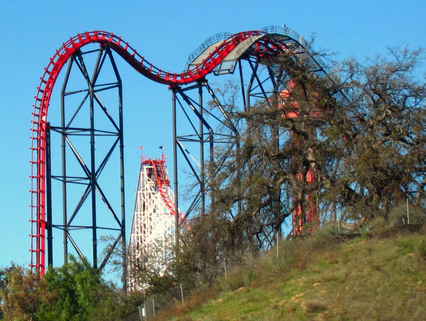 a roller coaster over trees near a grassy hill