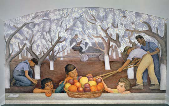 mural of fruit on display in a lobby