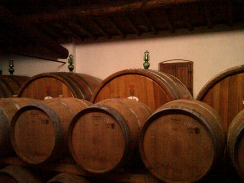 the back wall of the wine cellar with large wooden barrels