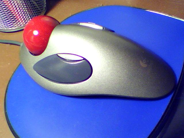 the silver computer mouse has an apple on it