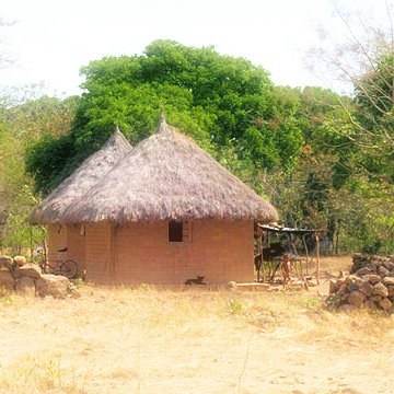 a hut that looks like it has a thatched roof