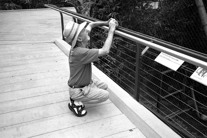 small boy looking over a railing on his skateboard