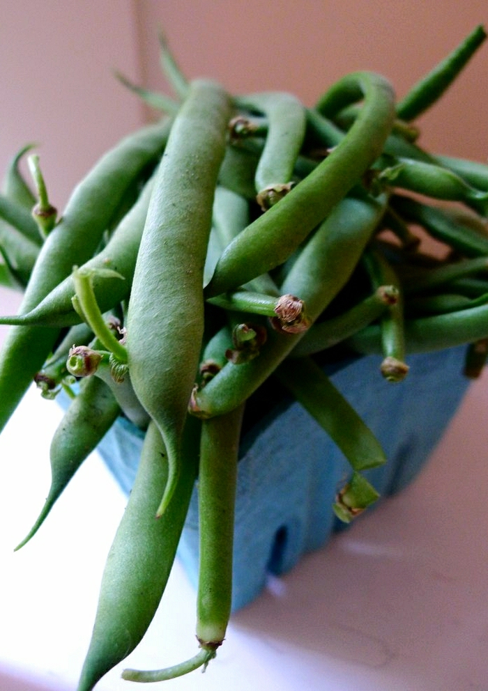 some green beans are hanging out in a blue pot