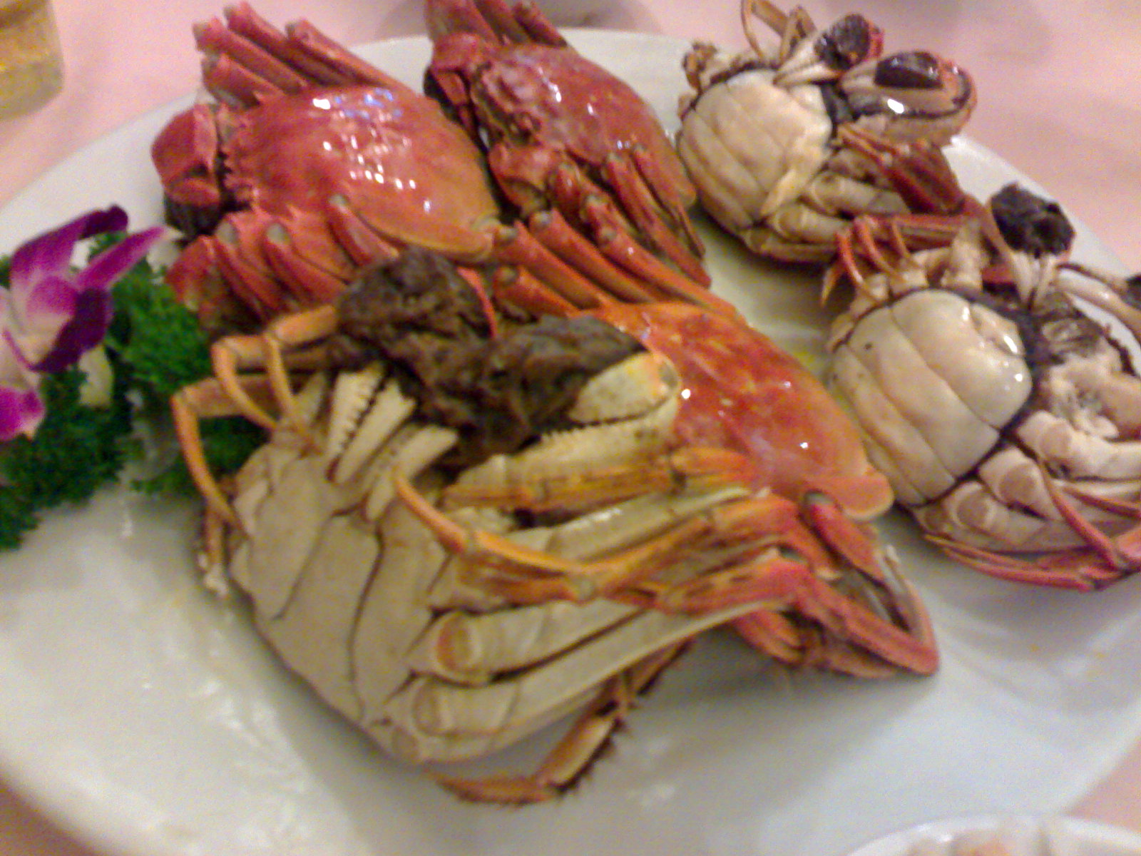 lobsters on a white plate covered in sauce and garnish