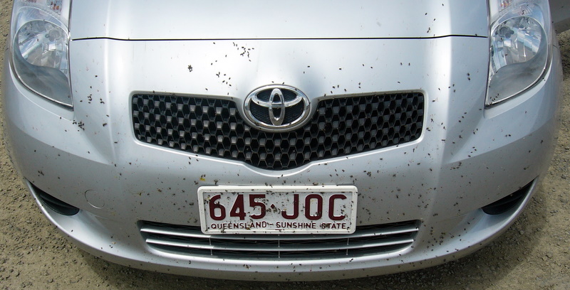 a close up of the front of a car with stains on it