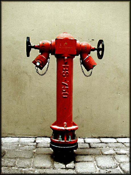 a red fire hydrant standing on the side of a street