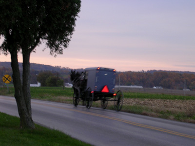 a horse and carriage traveling on a country road
