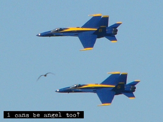 two blue and yellow jets flying in formation