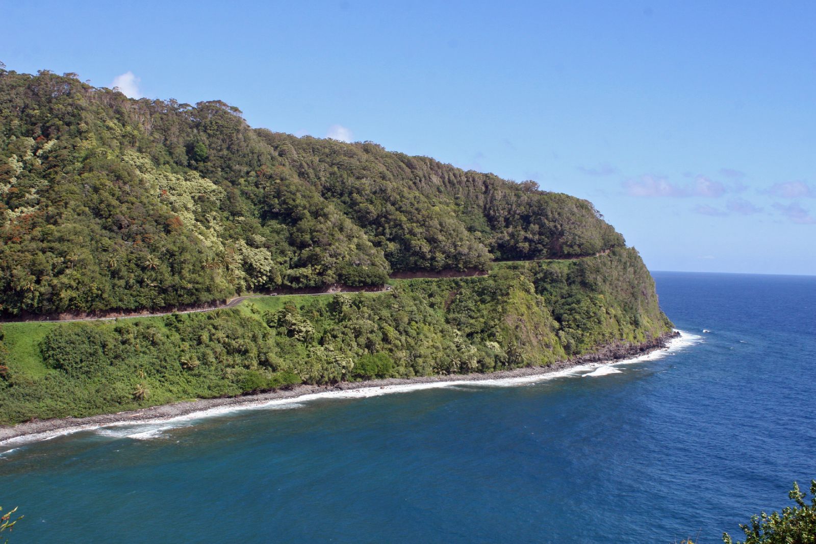 a train on an elevated track next to the ocean