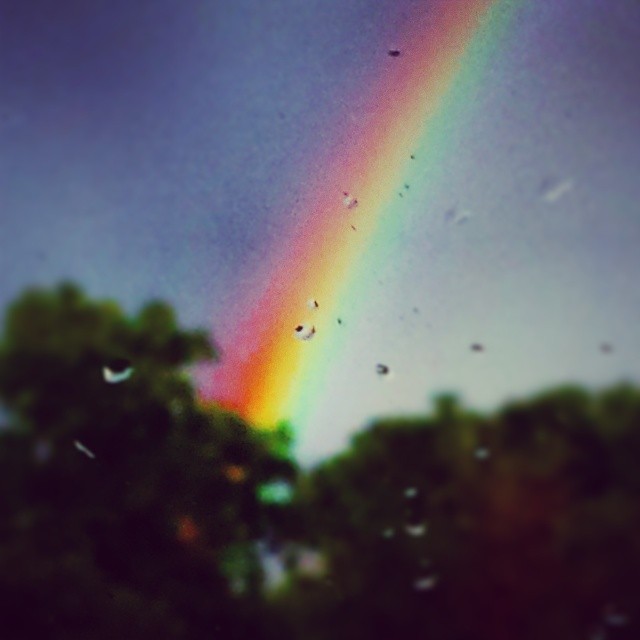 a rainbow appears above trees and a dark gray sky