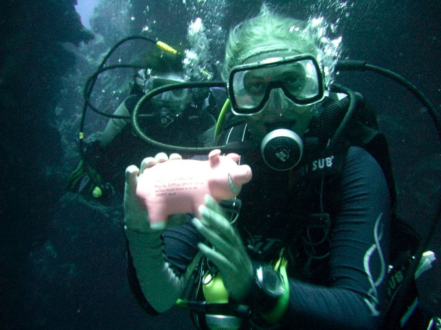 a person wearing a scuba suit in the water