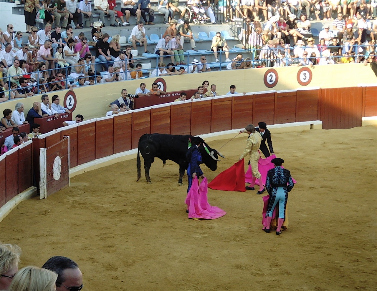 a bull that is on top of a dirt court