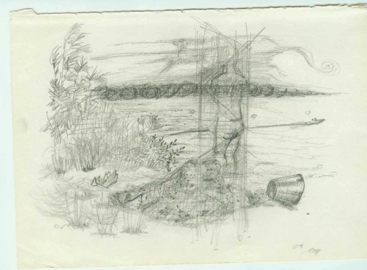a pencil drawing of trees on the shore