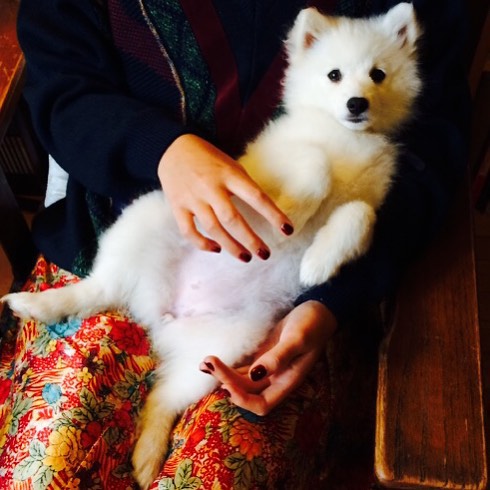 woman holding small white dog sitting on a colorful cloth