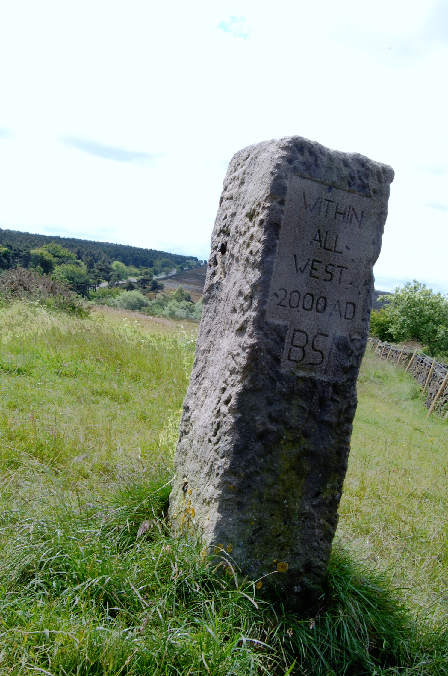 a big rock that is in the grass