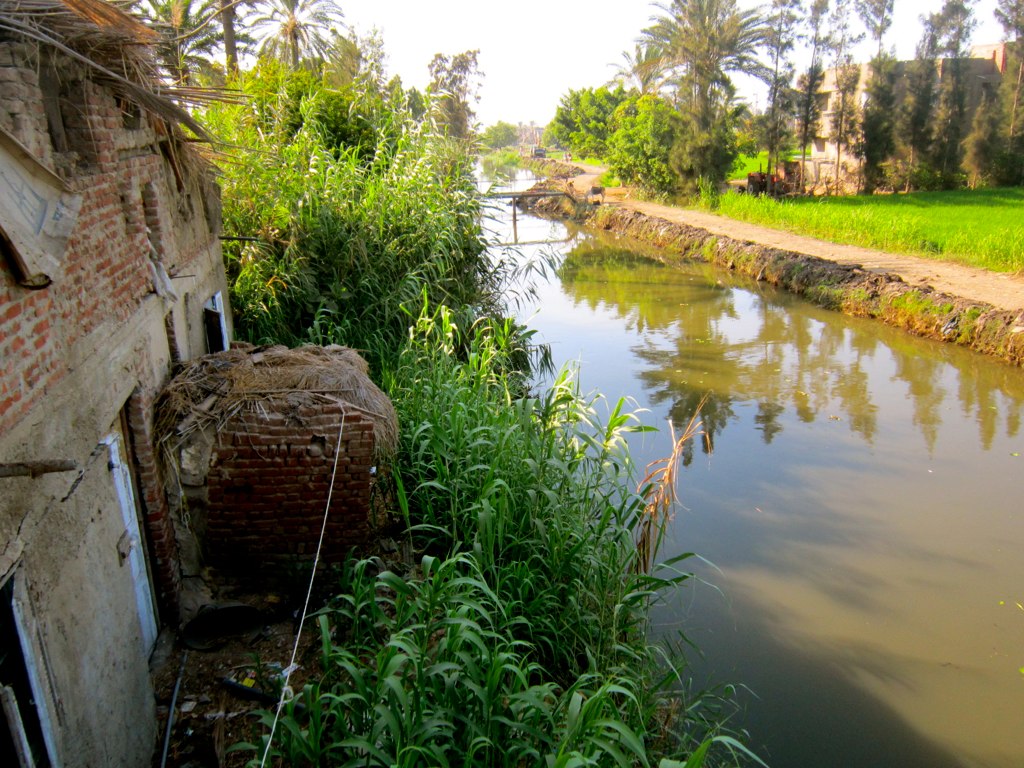 a body of water next to green field with tall grass