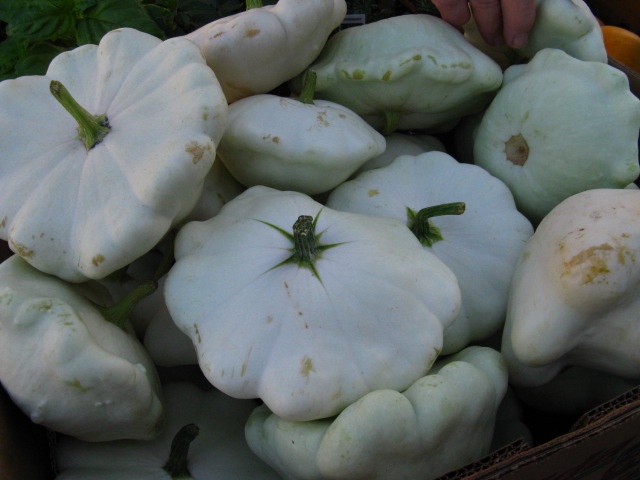 this is white pumpkins with green stems in the center