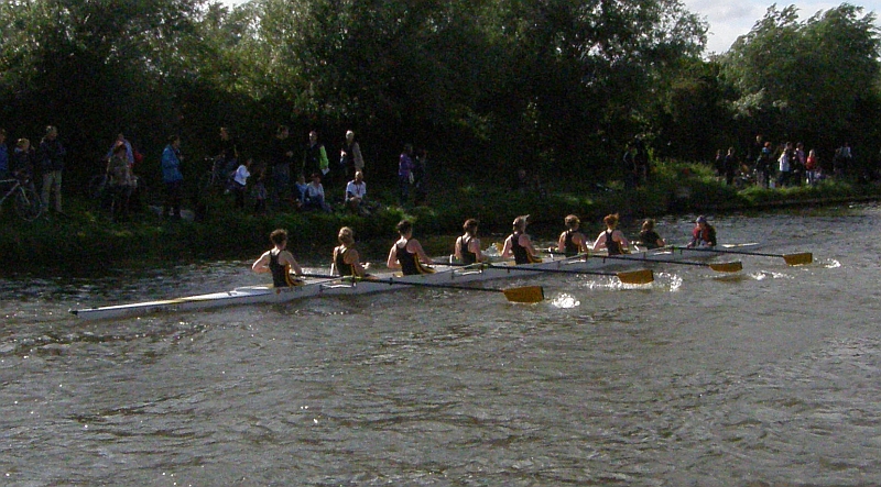 a row of rowing teams on the water with people watching
