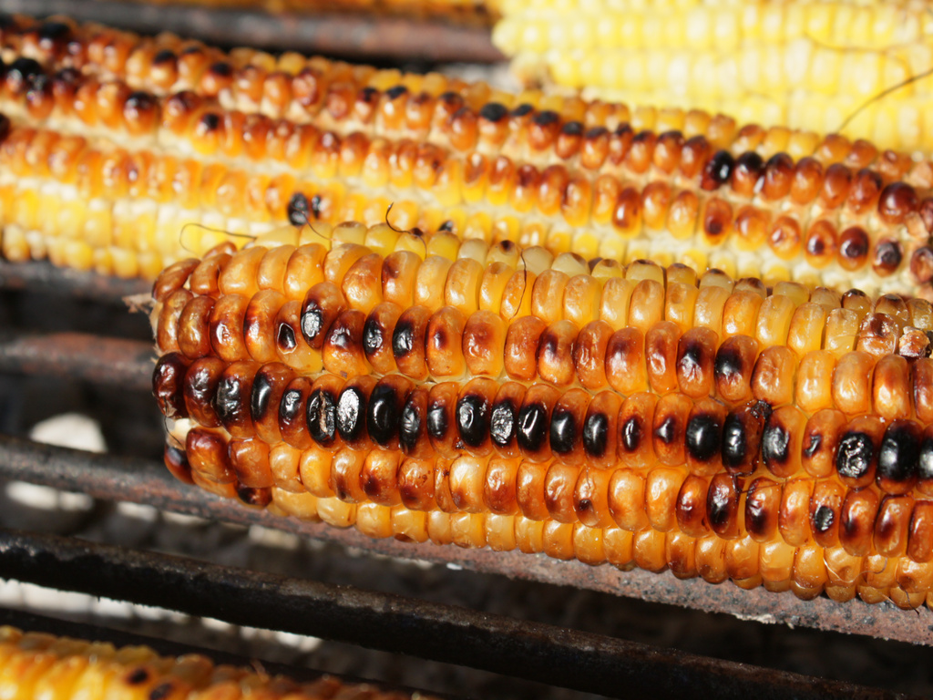 corn is on the grill and being grilled