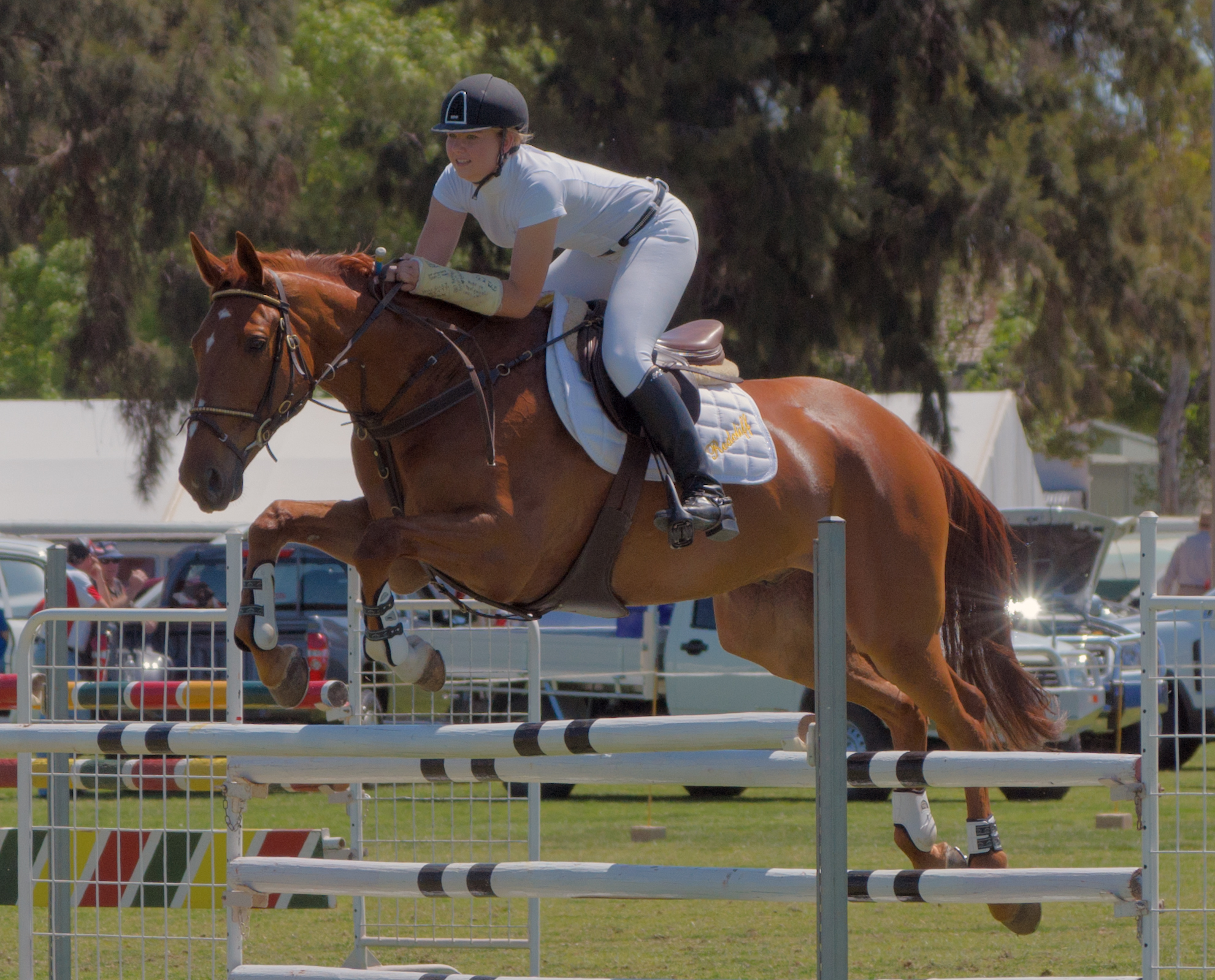 a horse is jumping over an obstacle course with his rider