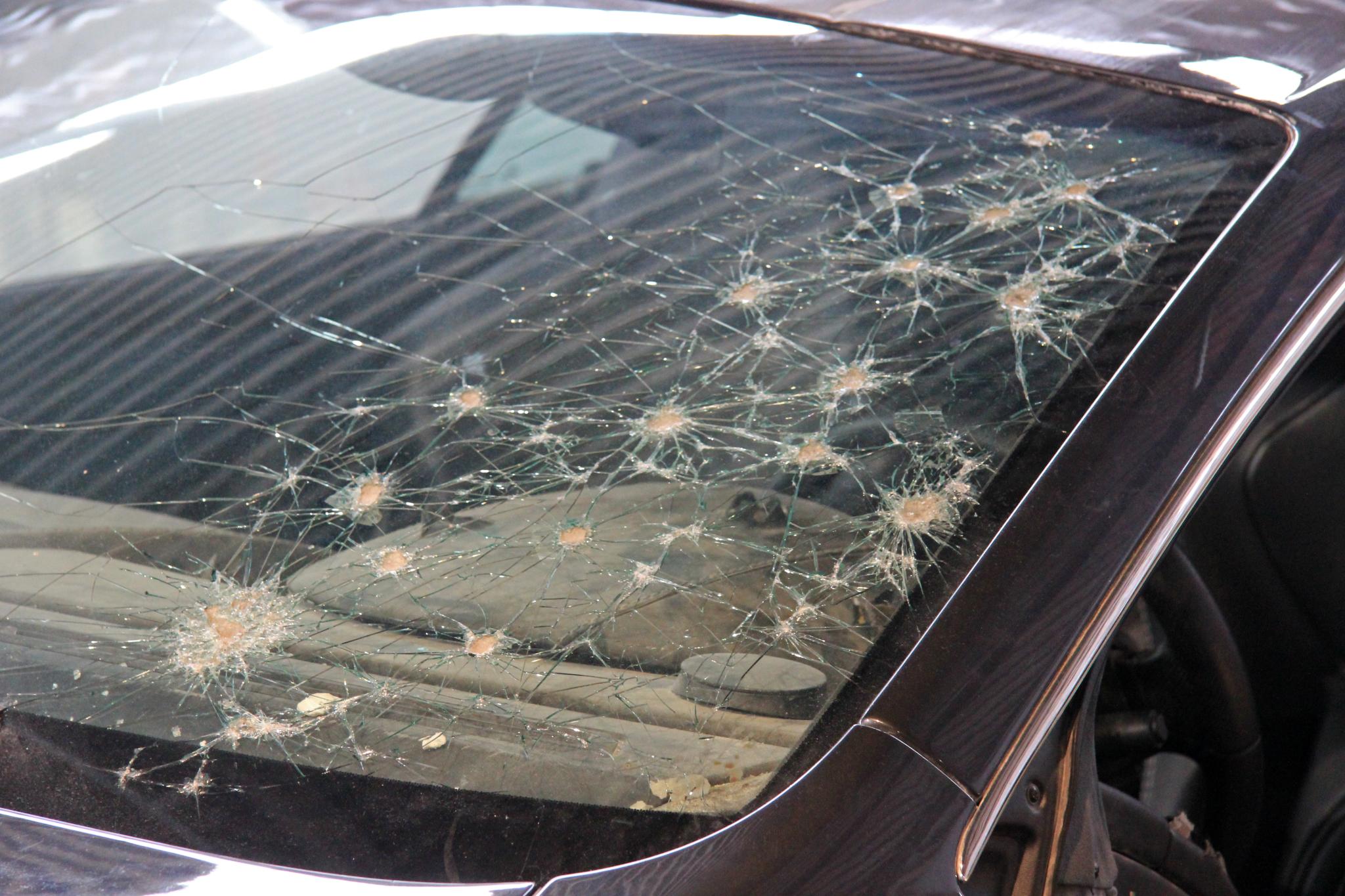 the car is covered in large, brown bugs