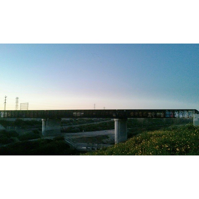 the train crosses the bridge at dusk in an overpass