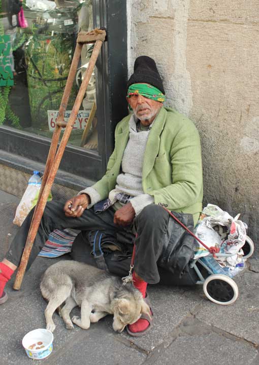 an old man sits on a sidewalk with his small dog