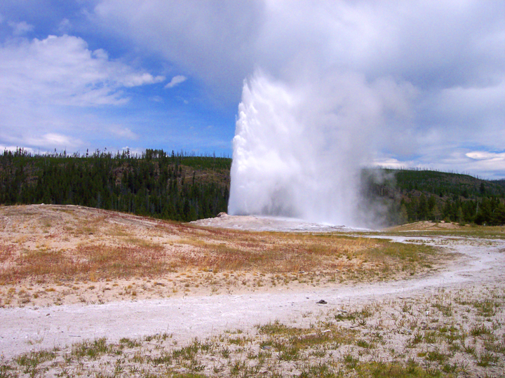 large geyser near dirt path in forest on sunny day