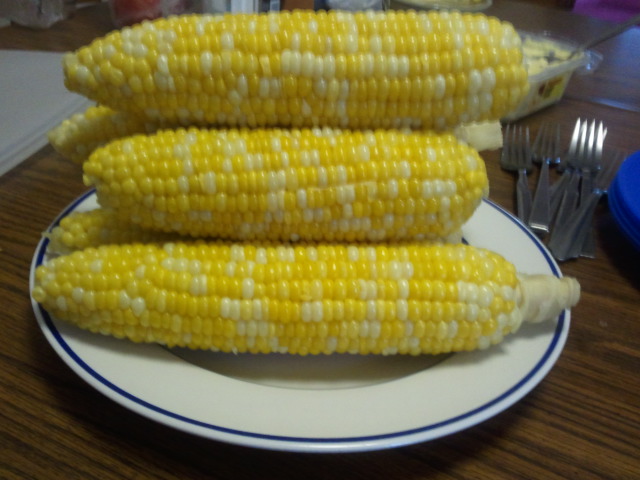 two pieces of cooked corn on the cob sitting on a plate