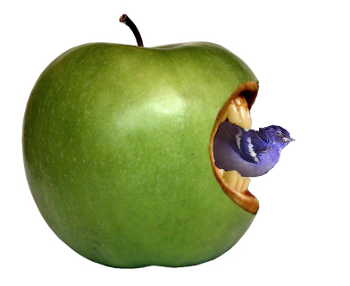 a bluebird is peaking through the hole in an apple