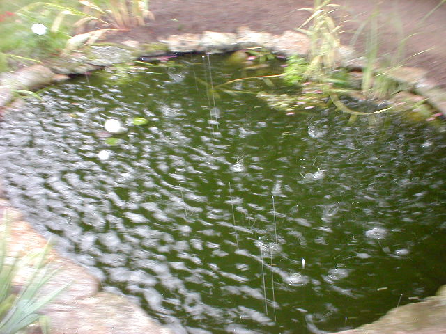 a large pond with some drops of water